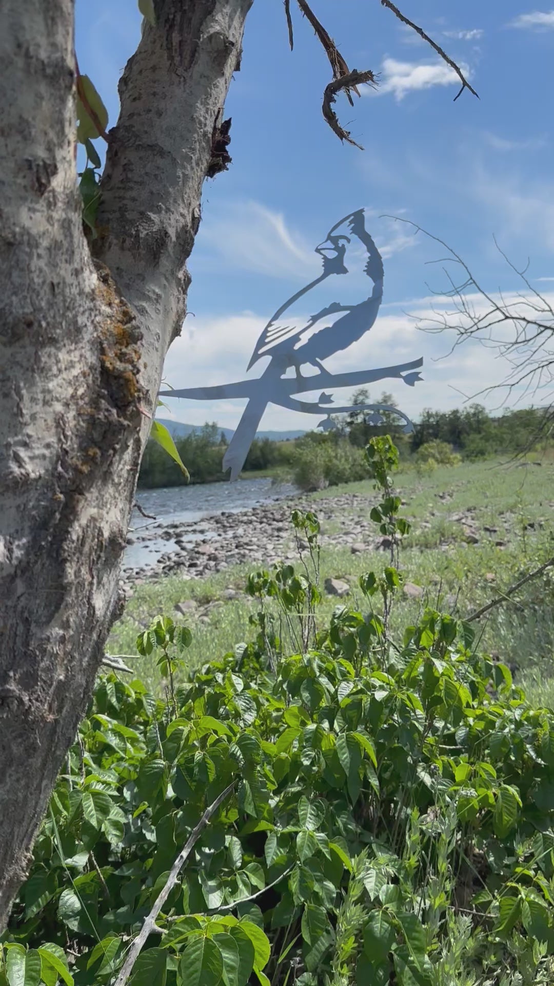 Load video: Metal cardinal bird tree stake with branch design, rustic steel garden decoration for outdoor yard or lawn