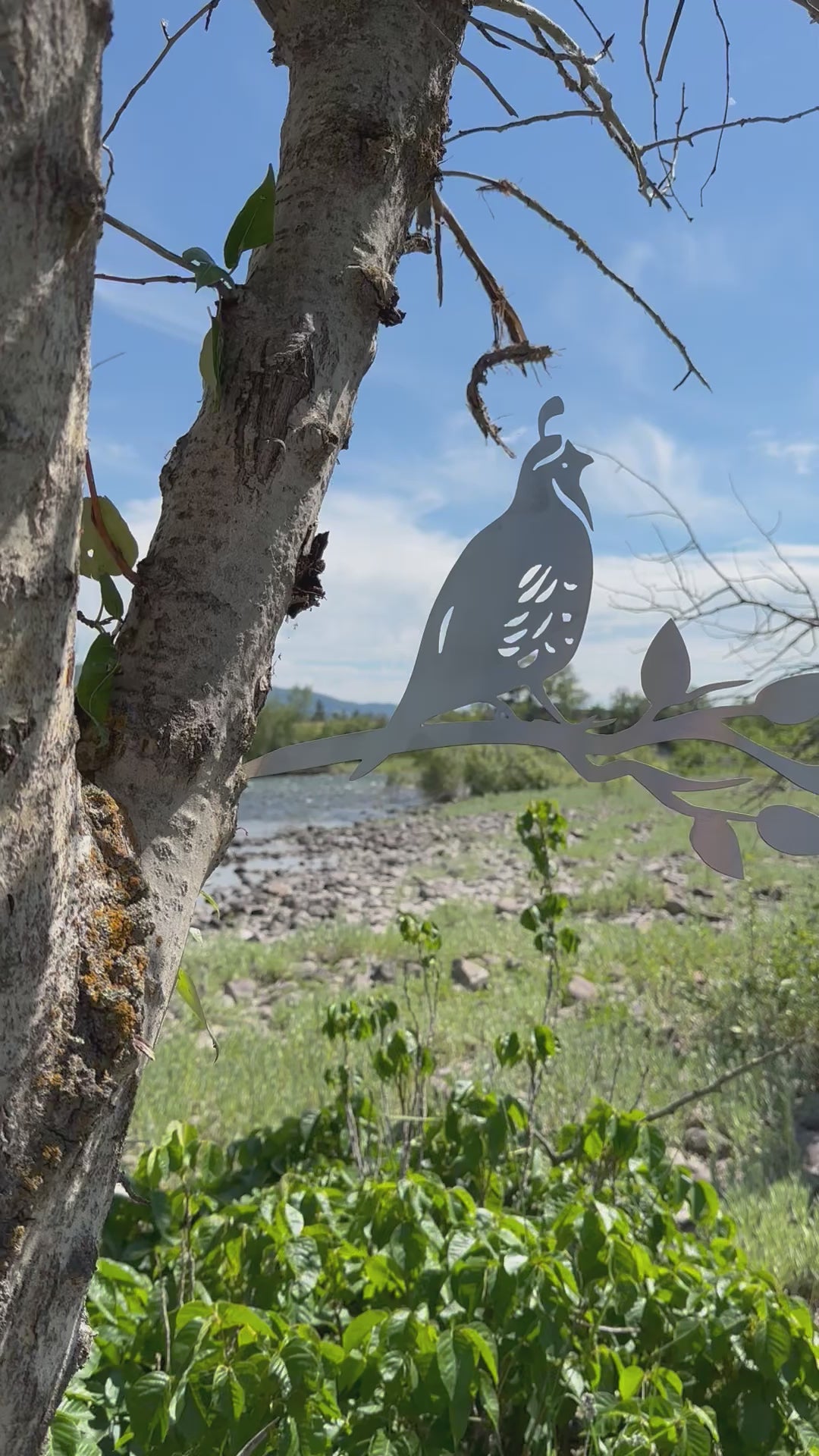 Load video: Metal quail tree stake on branch, rustic steel garden decoration for outdoor yard or flower bed